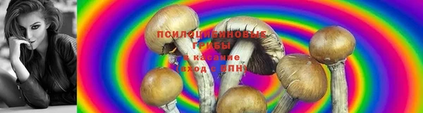 марки nbome Абдулино