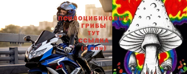 хмурый Алексин